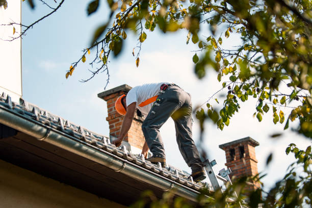 Best Local Roofing Companies  in Grill, PA